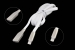 55742 Кабель ACD-Infinity USB 2.0 AM-Lightning, ACD-U922-P5W, 1.2м белый — фото 1