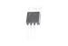 RFP50N06 (60V 50A 131W N-Channel MOSFET) TO220 Транзистор — фото 1