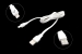 55720 Кабель ACD-Life USB 2.0 AM-iPhone Lightning, ACD-U920-P5W, 1.0м белый — фото 1