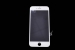 18217 Дисплей для Apple IPhone 7 white (класс AAA, Long Teng) — фото 1