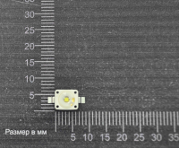 Светодиод SMD LUWW5AM-LXLY-6P7R - белый (6500K 3.2V 350mA 170°)
